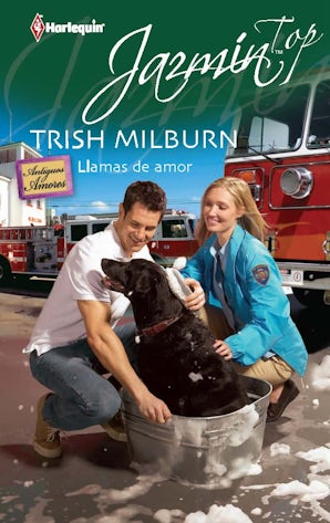 LLAMAS DE AMOR